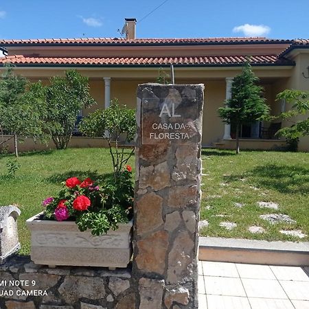 Casa Da Floresta Santiago da Guarda Eksteriør billede
