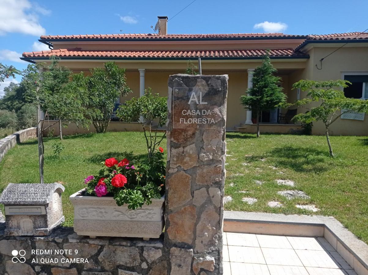 Casa Da Floresta Santiago da Guarda Eksteriør billede