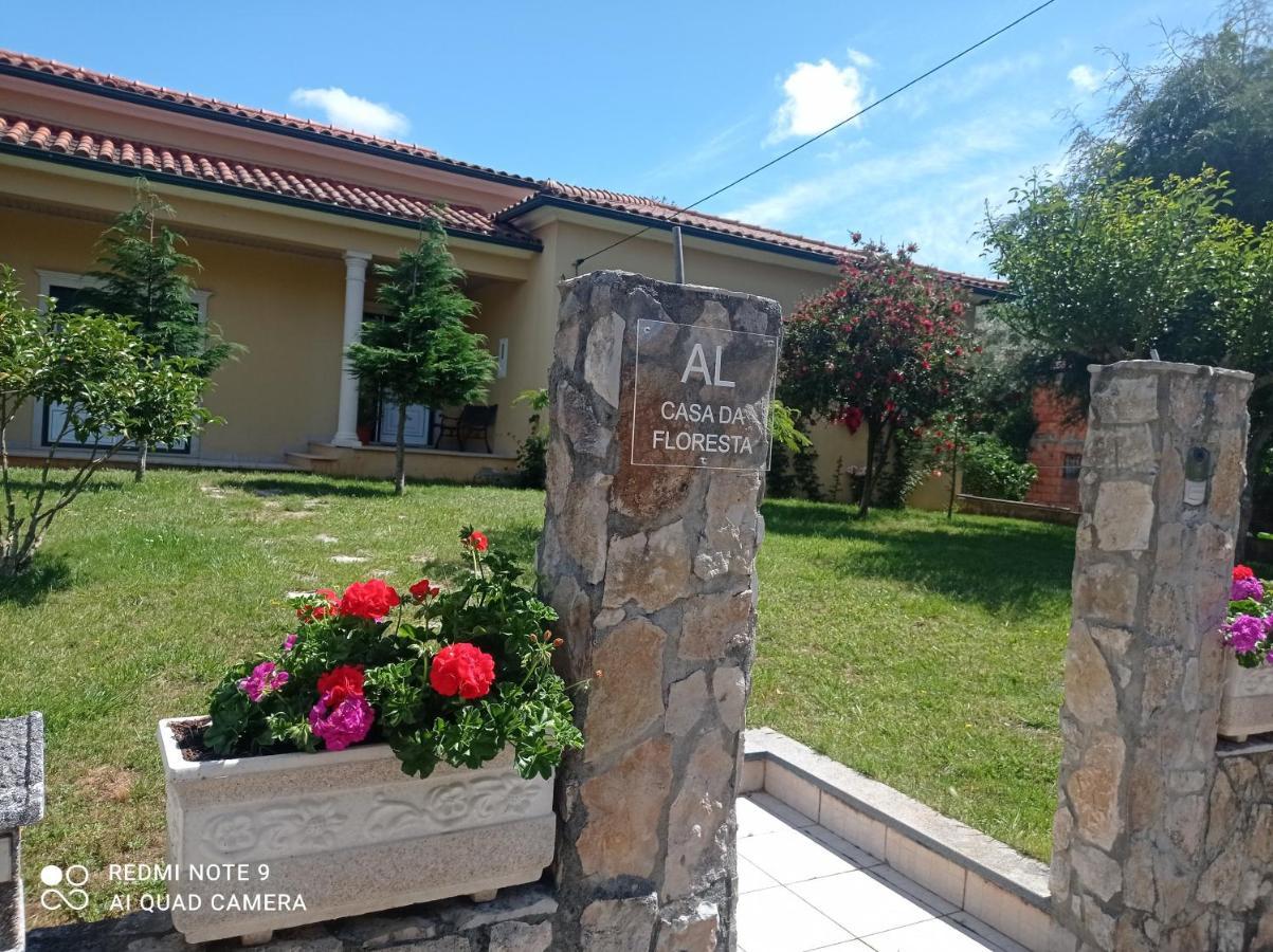 Casa Da Floresta Santiago da Guarda Eksteriør billede