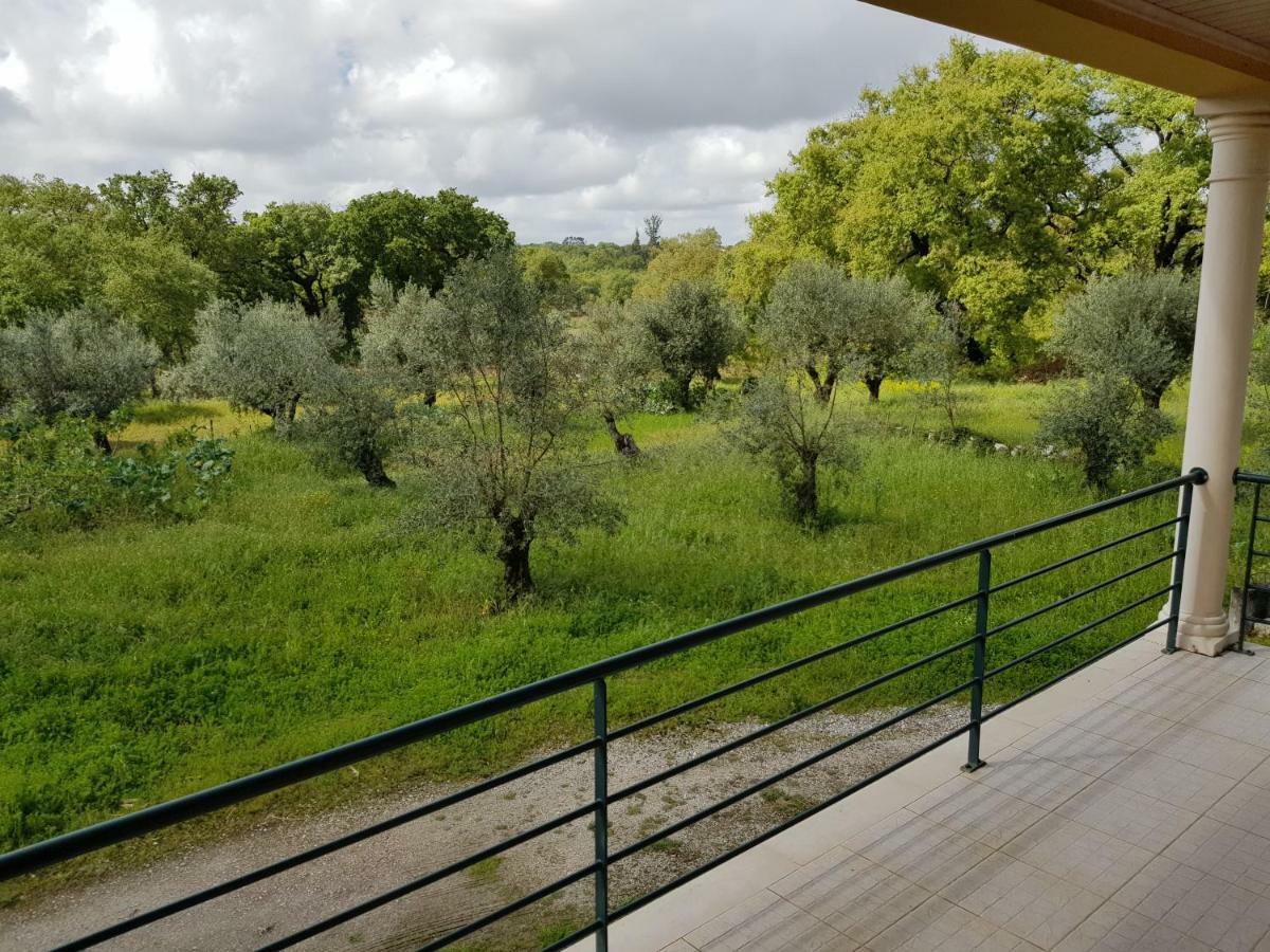 Casa Da Floresta Santiago da Guarda Eksteriør billede